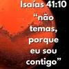 danielferraz4449