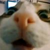 xdmezx