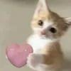 haniisshopp