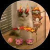cubin_20110