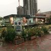 mehtab_386