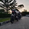 ferdidemplon5