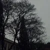 ditcum_111