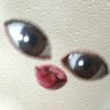 dhinwxx