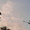 poposwelll