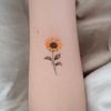 porjaisunflower