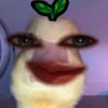 abcdefghijklmnopqrstaaa2