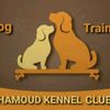 hamoud_kennel_club