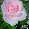user6228501024917