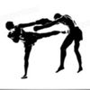 kungfu_fightingskills666