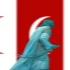 sabraddinist