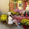 phng.nguyn8630