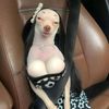 ciara_cantik_banget2