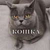 zobros_nastoyashiy