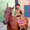 haji.shoukat.5544