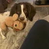 nannymoo624