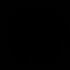 ervinacantik20
