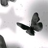 newname_011