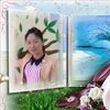 hoaphunghoa2