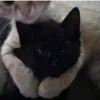 nika_nikaa26