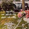 ali_raza_writess