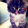 edits.ferv58