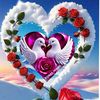 zeba.hakim