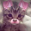 saharrr_17