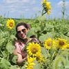 girasoles6272