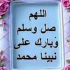 zmrdh01