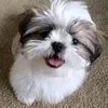 slkea_ray