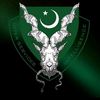 nuhammadrehan