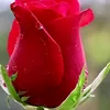 user3071574209178