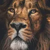 mohamad.dyab1