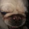bailey.smith6