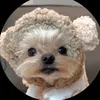 JePets