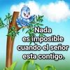 sole.quispe