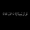 ff.gg3696