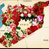syrianman204