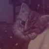 tahn.ngna