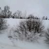 clay.s4ody