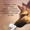 llrrlw