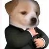 strelih