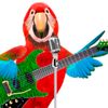 songparrotmimic