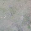 mst.taniya.akter256