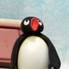 aj.penguin_