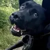 hnguynthh7