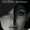 oysha.3845