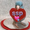 ssp2323