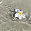 hua.hua00